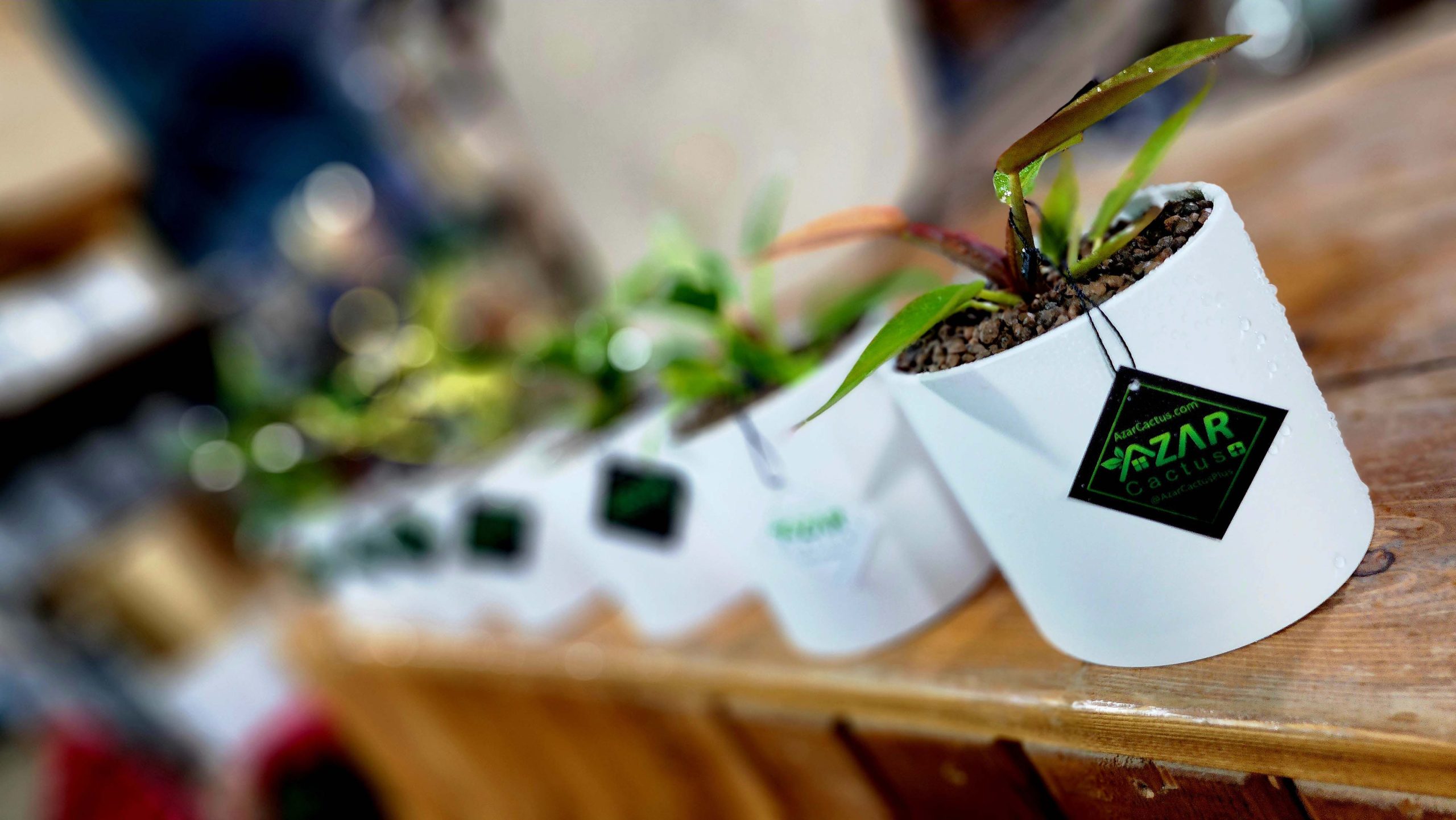 فروش کت و شلوار گل شما